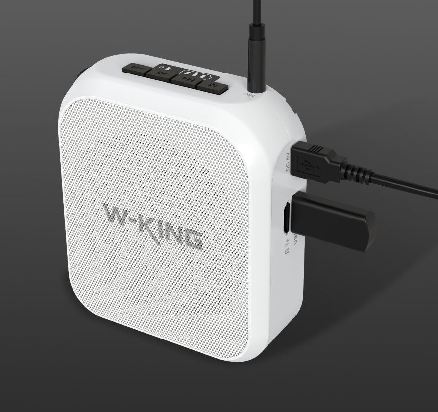 W-KING 20W Amplifier Speaker  W/Headset MIC | KS02