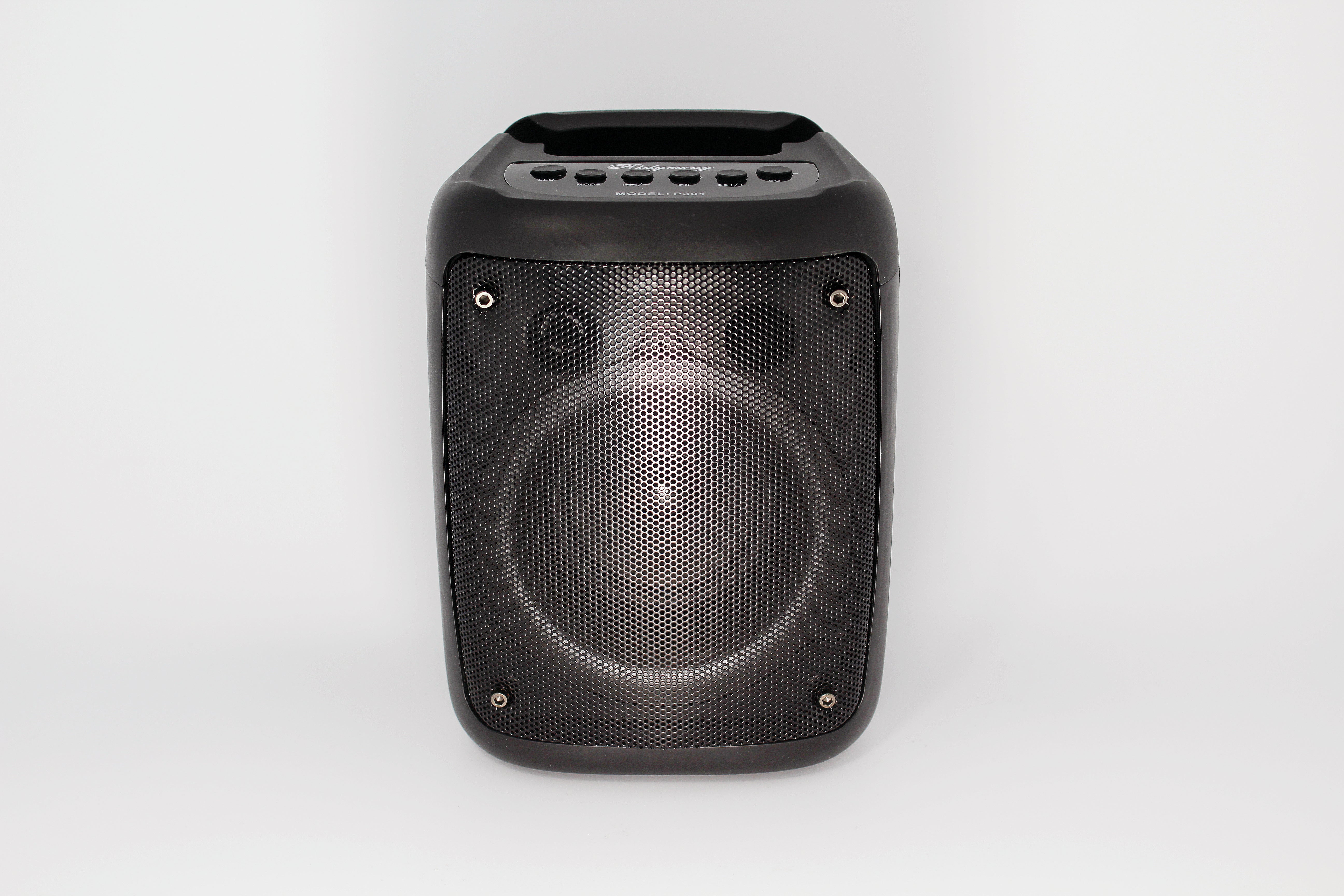 Ridgeway Portable BT Speaker P301