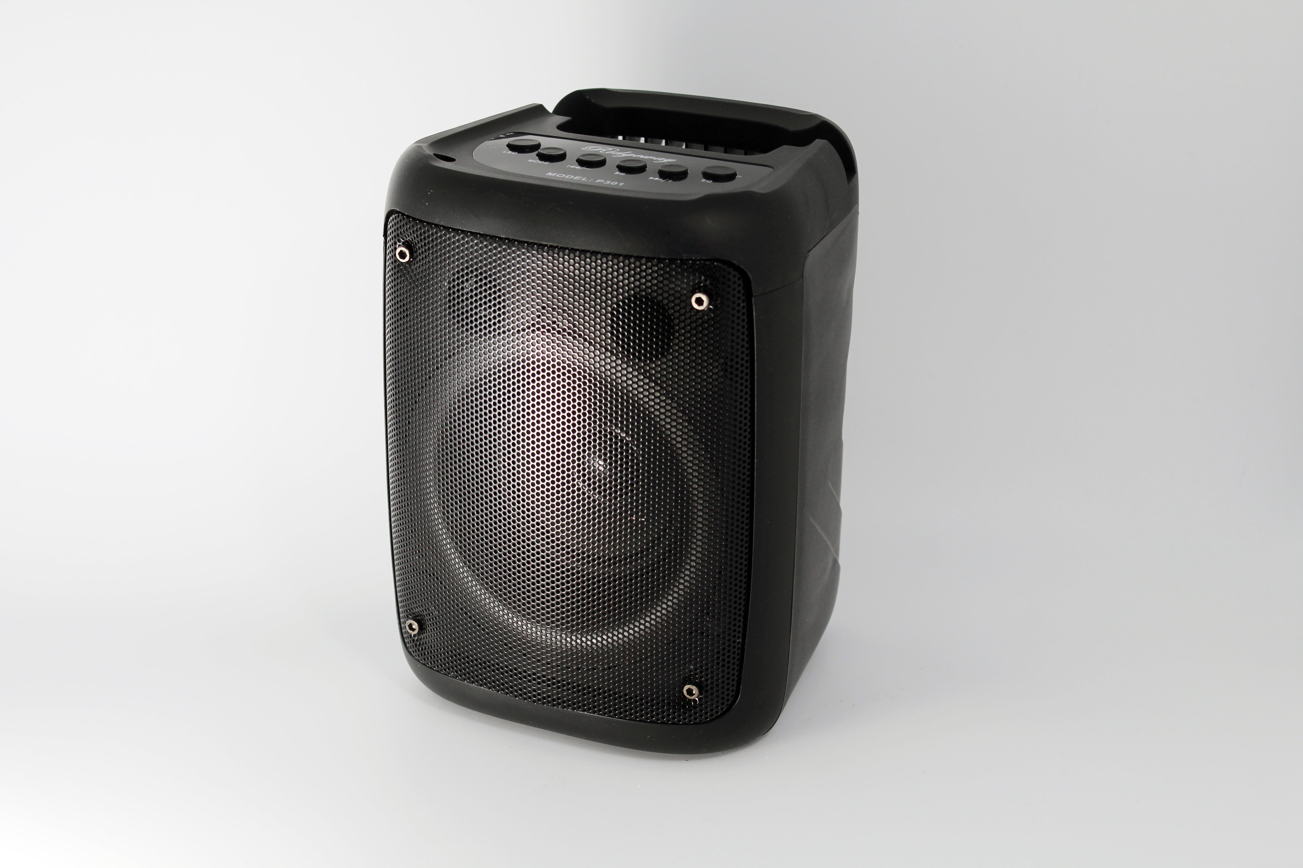 Ridgeway Portable BT Speaker P301