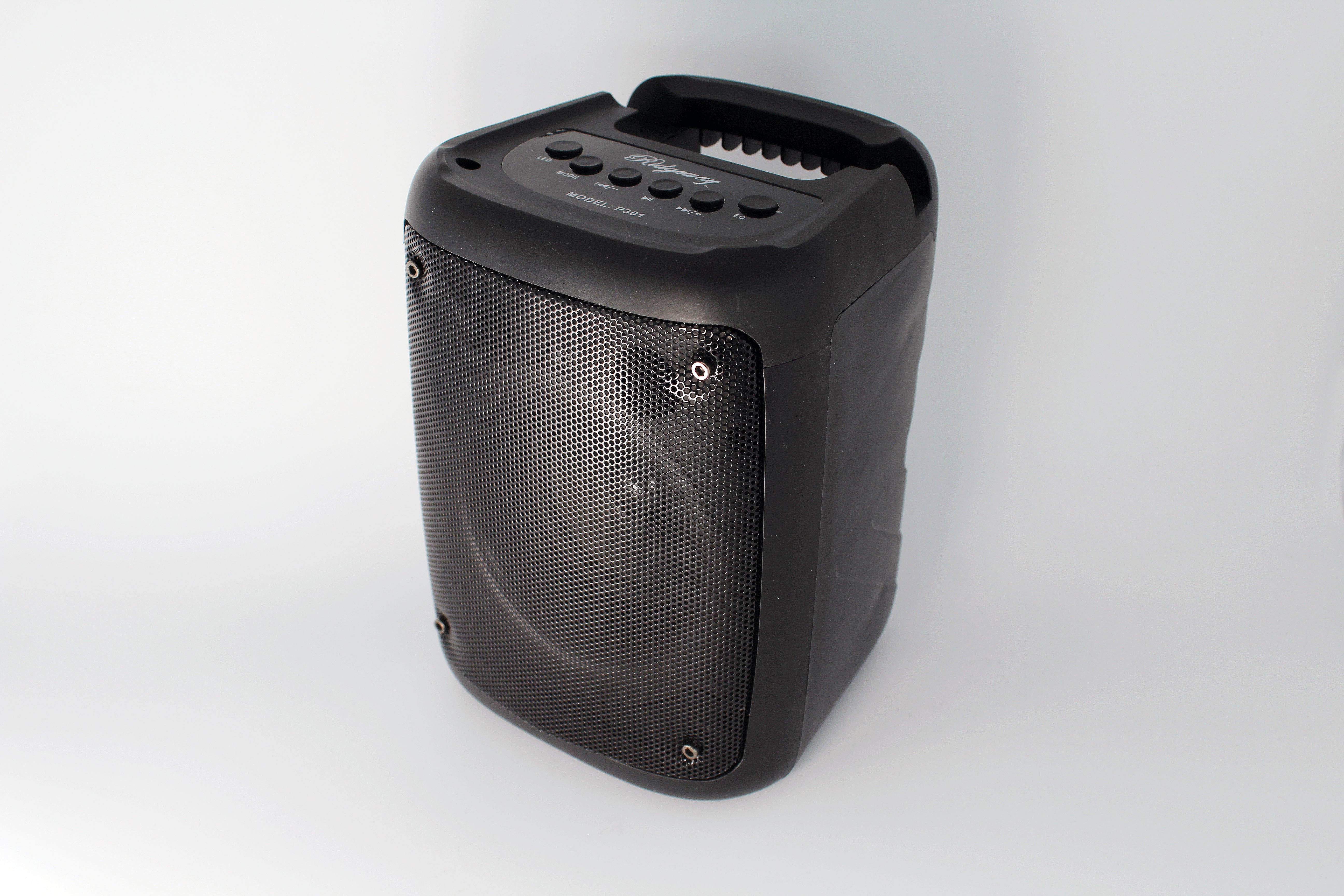 Ridgeway Portable BT Speaker P301