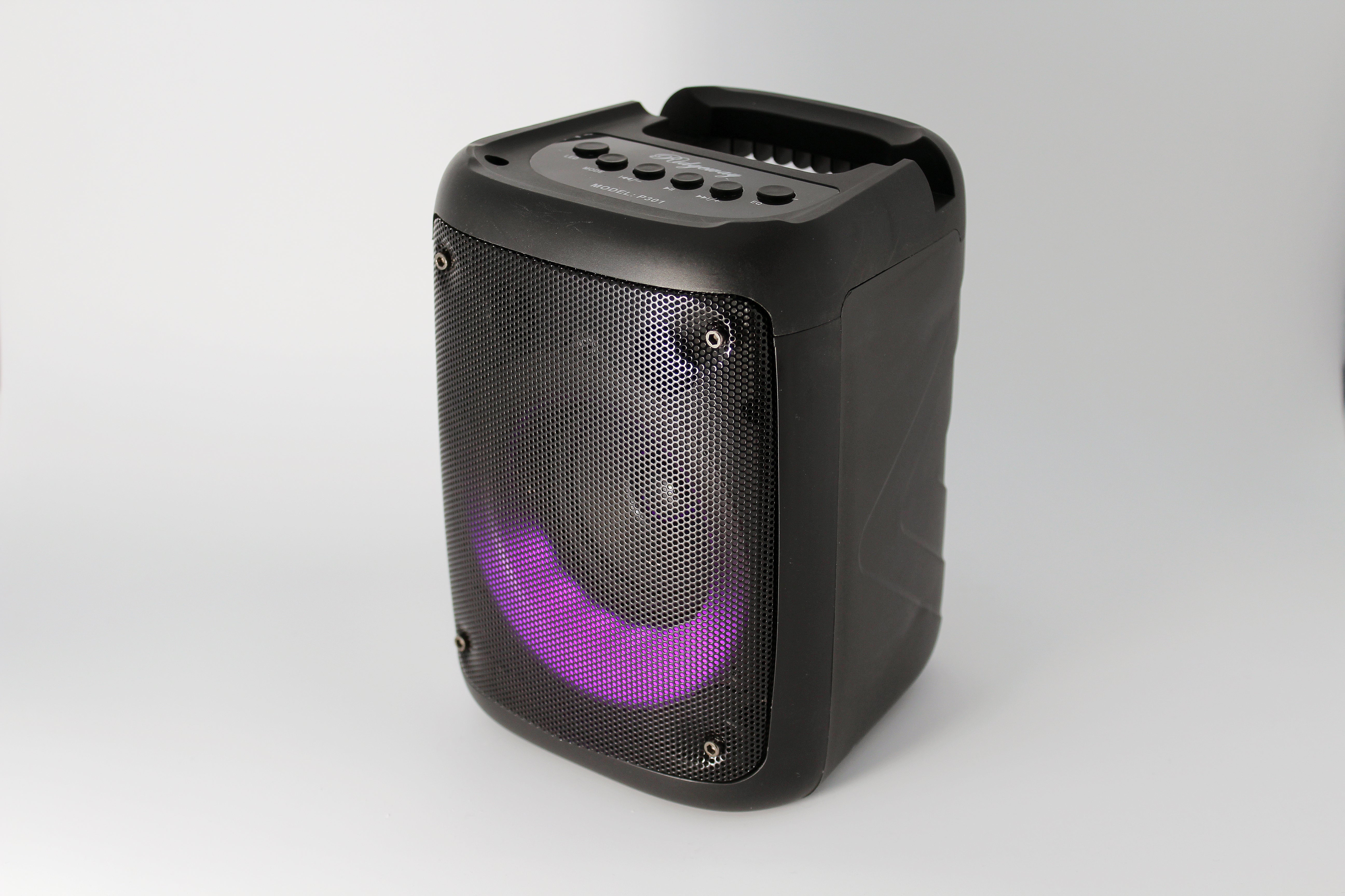 Ridgeway Portable BT Speaker P301